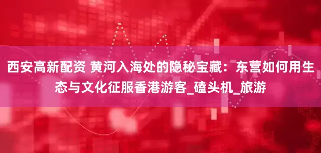 西安高新配资 黄河入海处的隐秘宝藏：东营如何用生态与文化征服香港游客_磕头机_旅游