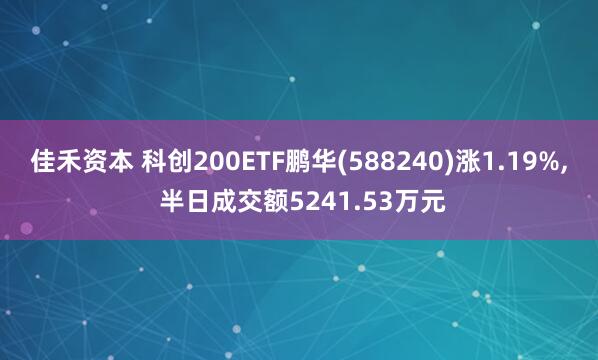 佳禾资本 科创200ETF鹏华(588240)涨1.19%, 半日成交额5241.53万元